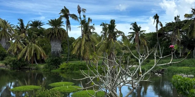 Headline: “Malama ʻĀina: The Hawaiian Value Inspiring a New Kind of Traveler in 2025”