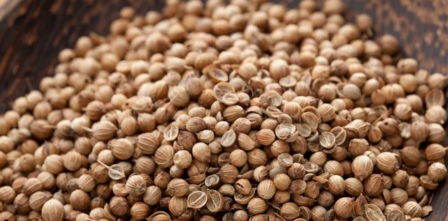 Title: Cilantro vs. Coriander: Understanding the Difference and Their Surprising Health Benefits